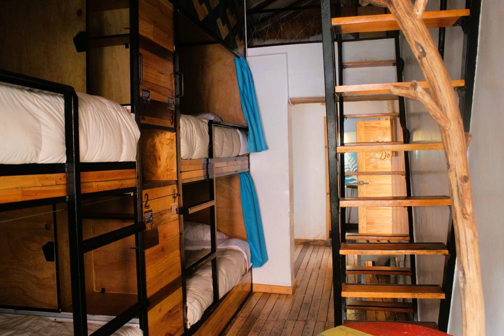 Supertramp Hostel Cusco Oda fotoğraf